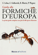Miniatura copertina
