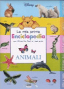 Miniatura copertina