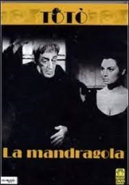 Miniatura copertina