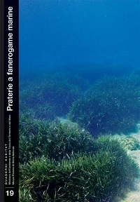 Miniatura copertina