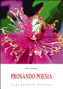 Miniatura copertina