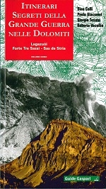 Miniatura copertina