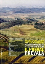 Miniatura copertina