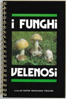 Miniatura copertina
