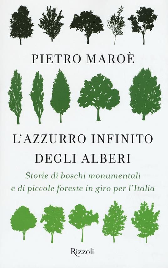 Miniatura copertina