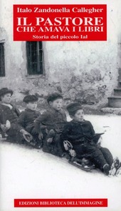 Miniatura copertina