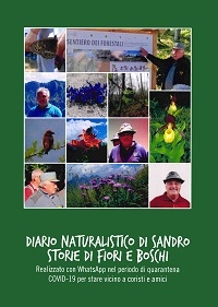 Miniatura copertina