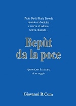 Miniatura copertina