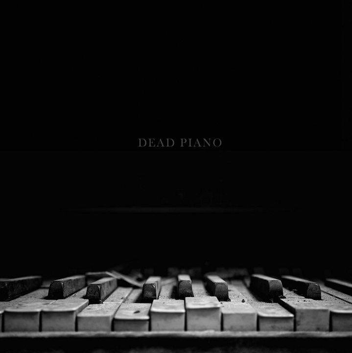 Copertina  Dead Piano [Audioregistrazione]
