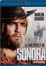 Copertina  A sud ovest di Sonora : the appaloosa [Videoregistrazione]