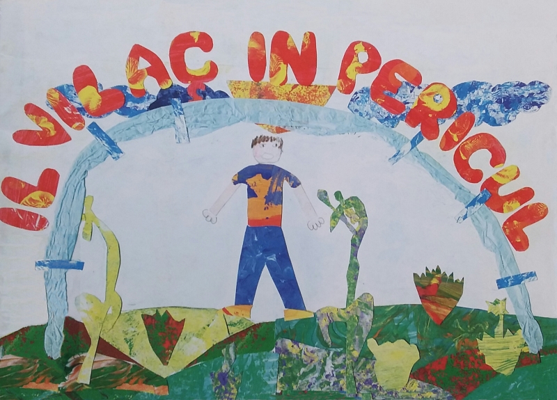 Copertina  Il vilaç in pericul