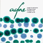Copertina  Aghe : progjet di valorizazion de lenghe furlane indreçât ai fruts e realizât cun lôr 